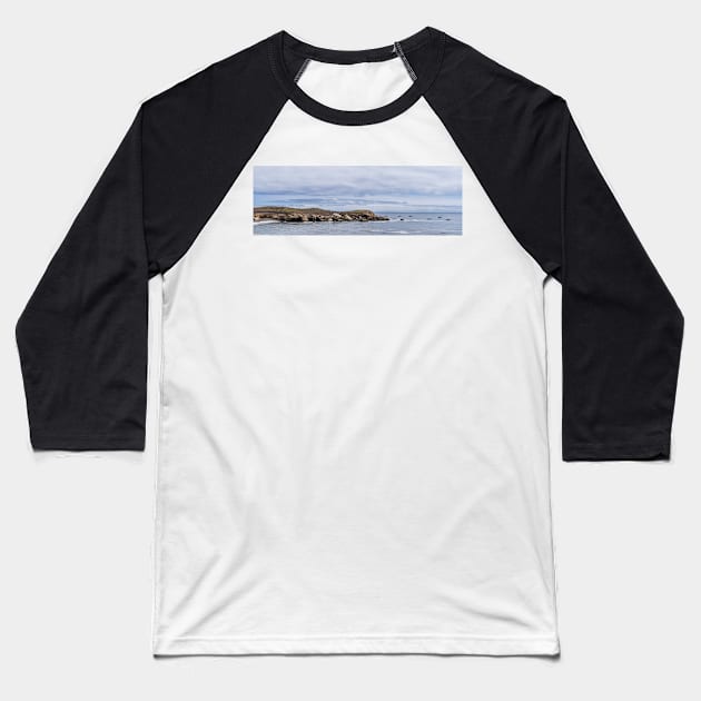 Pelican Race Baseball T-Shirt by MCHerdering